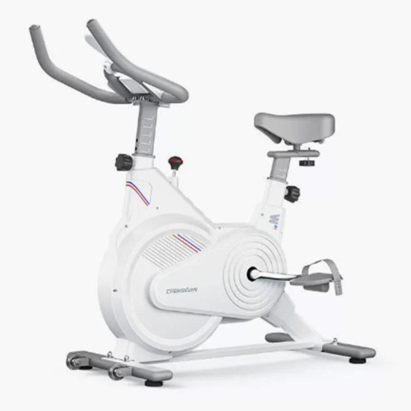 Home Gym Ideas - Indoor Stationary Spin Bike, Silent Magnetic